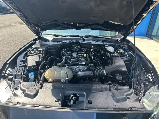 2021 Ford Mustang EcoBoost Premium