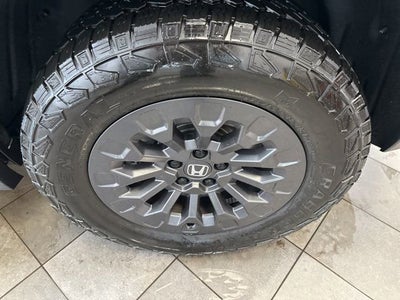 2026 Honda Passport TrailSport